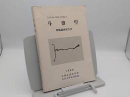 斗洛里 発掘調査報告書「全北大学校博物館 学術叢書2」(韓文)