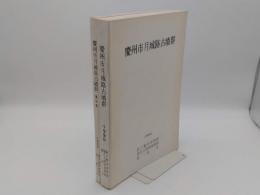 慶州市 月城路古墳群　本文篇・図版篇　全2冊(韓文)