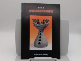 特別展　京都市域の群集墳