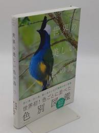 世界の美しい色の鳥