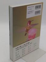 世界の美しい色の鳥