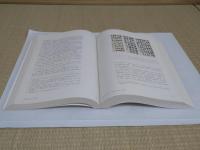中華図像文化史　清代巻(中文書)