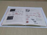 京おりがみ　四季を折る