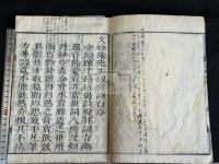 感興詩 齋居感興二十首 一冊揃