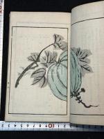 清人張子祥画譜 二冊揃