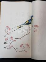十竹斎書画譜（十竹斎画譜）　 帙入八帖揃