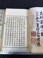 逍遥遺稿 二冊揃