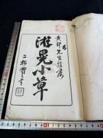遊晃小草