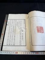 遊晃小草