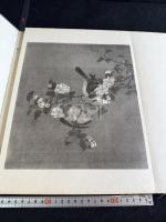 戴琬花鳥冊 戴琬花鳥帖