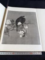 戴琬花鳥冊 戴琬花鳥帖