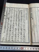 瘟疫論標註 醒医六書瘟疫論　瘟疫論