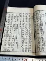 瘟疫論標註 醒医六書瘟疫論　瘟疫論