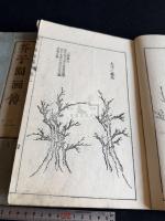 芥子園画伝 存卷2-5 不揃