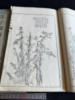 芥子園画伝 存卷2-5 不揃