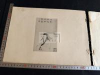 柳如是山水冊