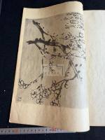 呉昌碩画冊 丁