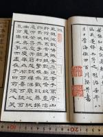 奇文観止本朝虞初新誌