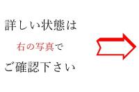 義士真筆写 瑞光什書義士真筆写