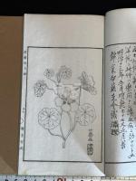 遺馨録 二冊揃
