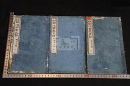 明治百家文鈔 : 名家評点