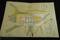 主圖合結記  江戸中期極彩入精写本　折帖三冊揃 福井崇蘭館旧蔵各冊「崇蘭館蔵」押印有 146図本は多いが本書は約164図