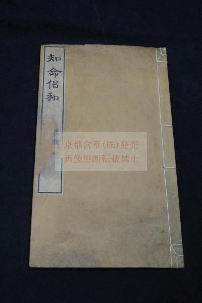 雲井詩集 桜井美成 著漢詩集 明治27年活版 一冊揃(桜井美成 著