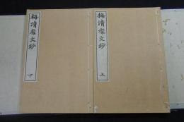 梅清處文鈔 山本梅崖著 漢文集 大正二年活板 帙入二冊揃   自由民権運動