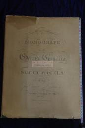 1819 Monograph of the Genus Camellia by Clara Maria Pope / CAMELLIA 
JAPONICA / THE JAPAN ROSE 日本のバラ 1819年原版 約1960-1970年完全複製 一冊 極大判一冊揃  彩図五枚入