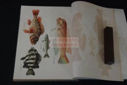 日本魚介類図説　彩色魚貝類図入 洋裝本一冊揃