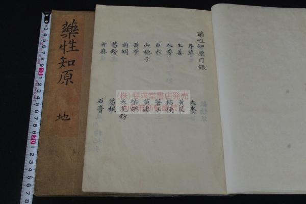 薬性知原 漢文体本 漢字カナ交じり本 幕末精写本 大判二冊揃