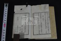 江戸夢華詩　沖脩編輯　明治10年刊本 木板摺豆本2冊揃 巻之上: 大沼枕山名勝詩. 巻之下: 植村蘆洲節物詩