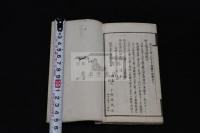 風来先生春遊記 版画入 明14年刊本 白紙二冊揃 巻上一部虫食補修有