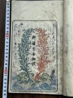 六々貝合和歌　三十六貝歌合　元禄三年跋　江戸中期極彩絵入写本 一冊揃