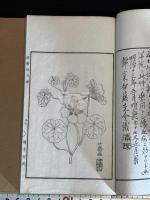 遺馨録 明12年刊本 帙入二冊揃 茶会図録 本草図 木版画大量 山本亡羊 