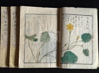 詩經品物圖彙 （日）大口時善 輯 幕末（天保前後）肉筆極彩写本 未刊稿本  三冊揃 本草學 博物學  大口金谷は別に関西大学図書館所蔵の「爾雅釈草図」を編纂