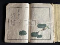詩經品物圖彙 （日）大口時善 輯 幕末（天保前後）肉筆極彩写本 未刊稿本  三冊揃 本草學 博物學  大口金谷は別に関西大学図書館所蔵の「爾雅釈草図」を編纂
