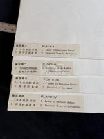  天正年間遣欧使節関係文書 京都帝国大学文学部所蔵 昭和4年史学研究会印本  解説付