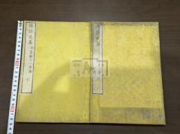 國詩史畧 : 附皇朝十八孝傳 大槻磐翁著  明治5年須原屋伊八刊本 木板摺二冊揃