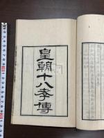 國詩史畧 : 附皇朝十八孝傳 大槻磐翁著  明治5年須原屋伊八刊本 木板摺二冊揃