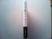 夢は大空を駆けめぐる : 恩師・円谷英二伝