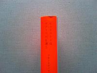 ビットコインはチグリス川を漂う : マネーテクノロジーの未来史