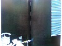 ジャパニーズ・ウーマン : 林静一画集