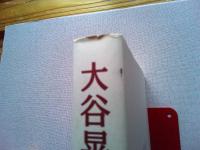 大谷晃一著作集　「関西名作の風土」「続関西名作の風土」「新風土記」