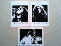 映画「レッド・ツェッペリン　熱狂ライブ」ロビーカード10枚