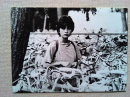 映画「いつか誰かが殺される」ロビーカード４枚　1984年　角川映画　
渡辺典子　監督　崔洋一　原作赤川次郎