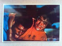 映画「死亡遊戯」ブルース・リー　ポストカード6枚