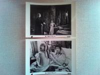 映画「帰ってきたドラキュラ」ロビーカード8枚
ハマー・フイルム・プロダクション製作　クリストファー・リー