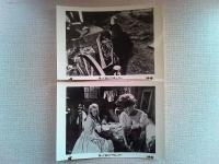 映画「帰ってきたドラキュラ」ロビーカード8枚
ハマー・フイルム・プロダクション製作　クリストファー・リー