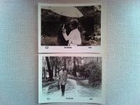 映画「雨の訪問者」ロビーカード7枚　チャールズ・ブロンソン
マルレーヌ・ジョベール　　監督ルネ・クレマン